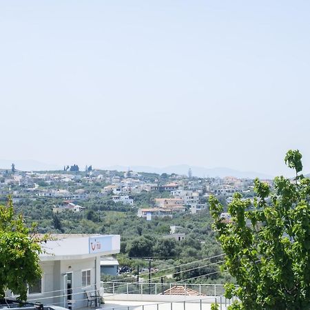 Thalassini ذاراتسو المظهر الخارجي الصورة